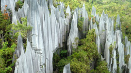 Gunung Mulu National Park