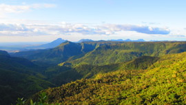 Black River Gorges National Park