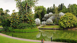 Singapore Botanic Gardens