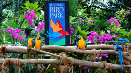 Jurong Bird Park