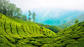 Munnar