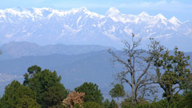 Ranikhet