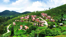 Ooty