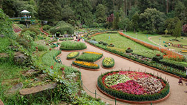 Coonoor