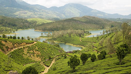 Yelagiri Hills